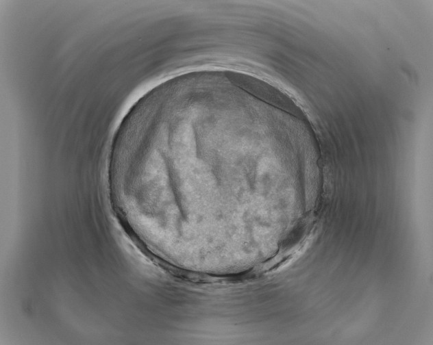 X0000111361530200908071143