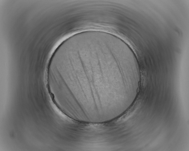 X0000111361531200908071143