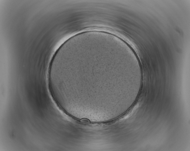 X0000111361533200908071143