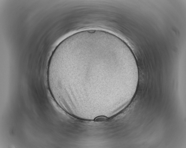 X0000111361534200908071143