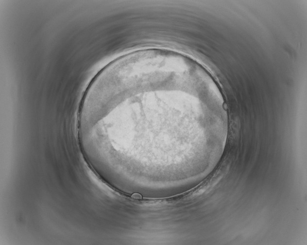 X0000111361535200908071143