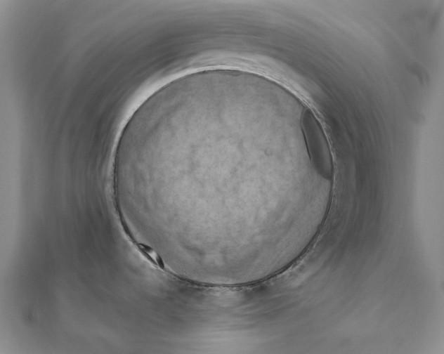 X0000111361536200908071143