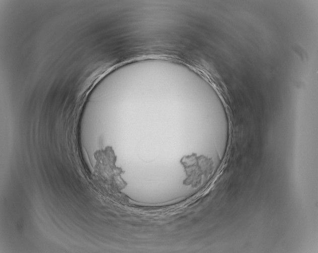 X0000111360001200908211306