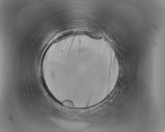 X0000111360002200908211306