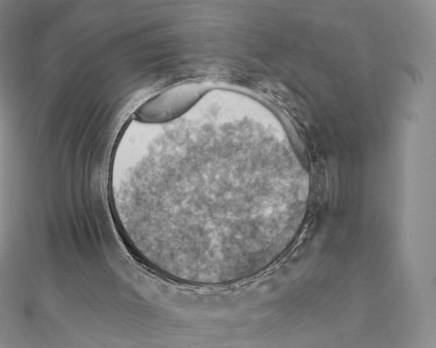 X0000111360003200908211306
