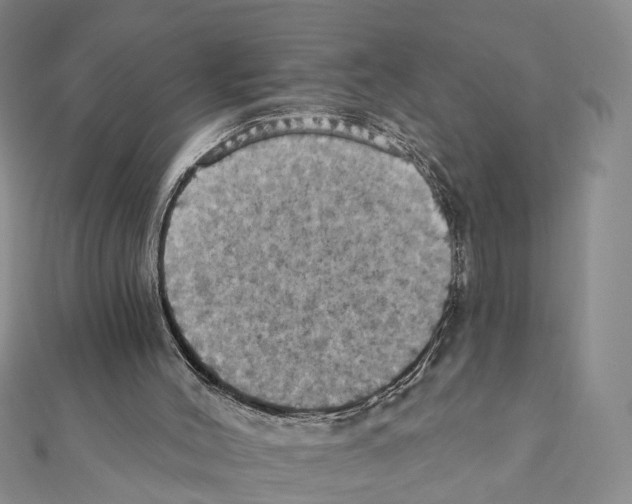 X0000111360004200908211306