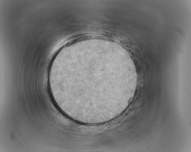 X0000111360005200908211306