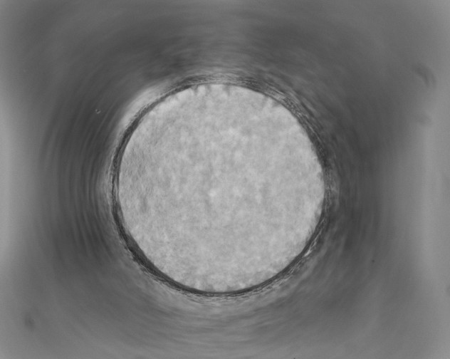 X0000111360006200908211306