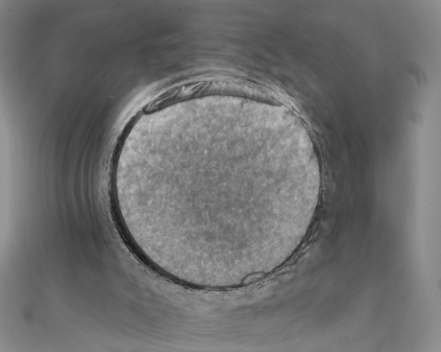 X0000111360007200908211306