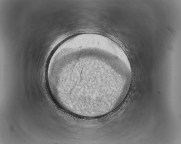 X0000111360008200908211306