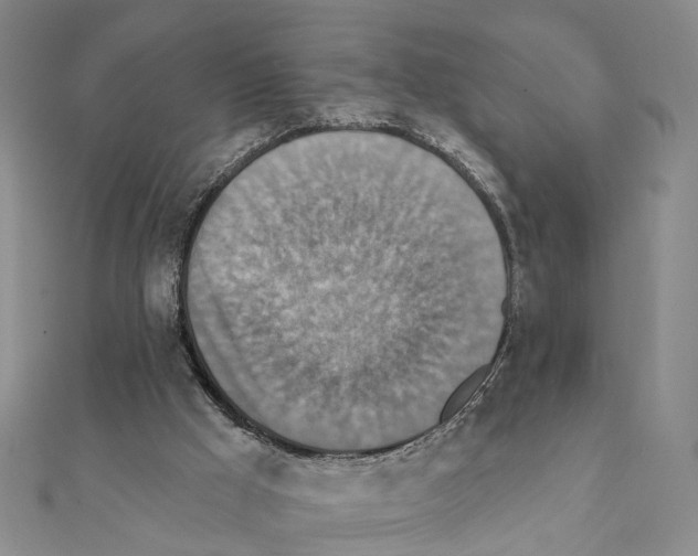 X0000111360009200908211306