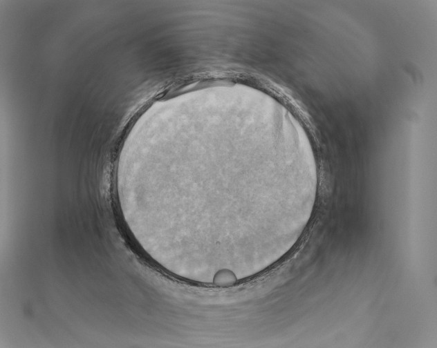 X0000111360010200908211306