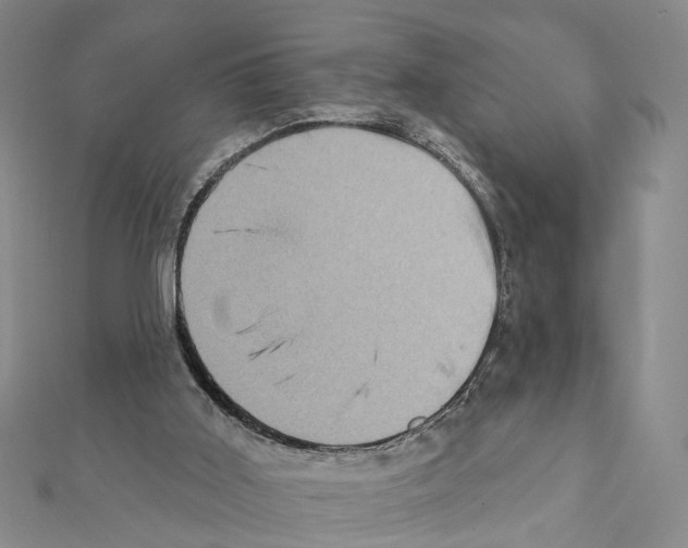 X0000111360011200908211306