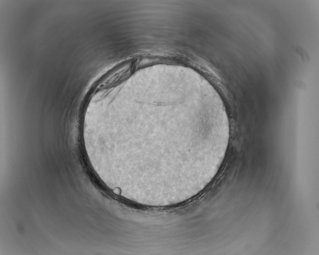X0000111360012200908211306