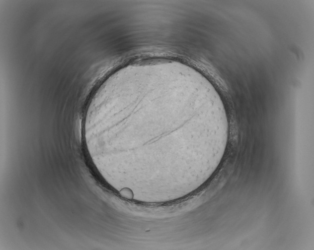 X0000111360014200908211306