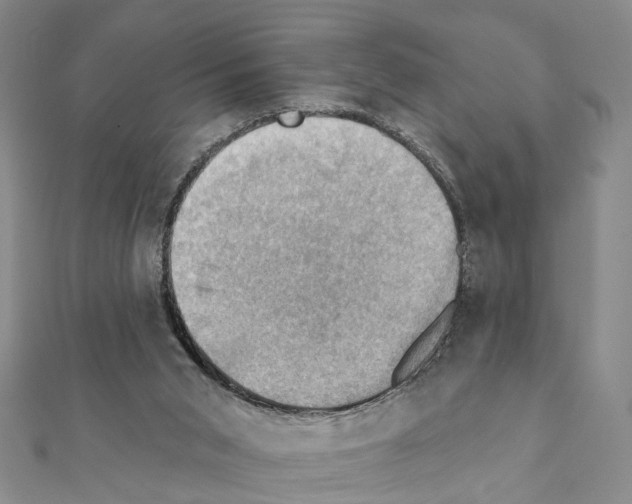 X0000111360015200908211306