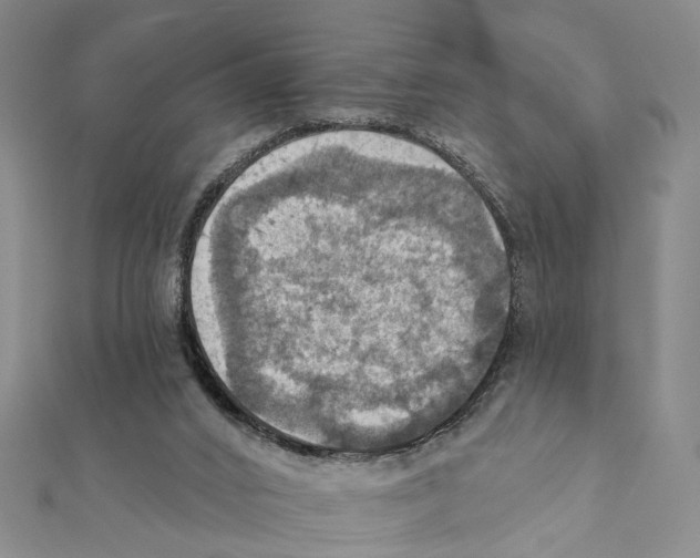 X0000111360016200908211306
