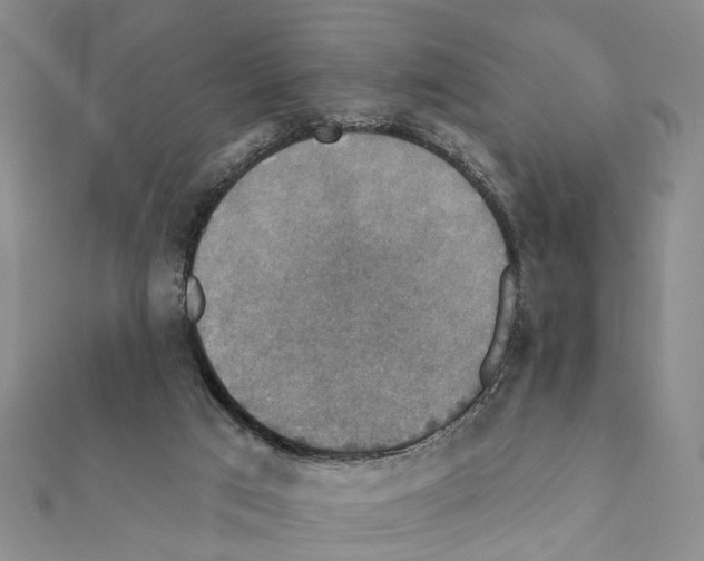 X0000111360017200908211306