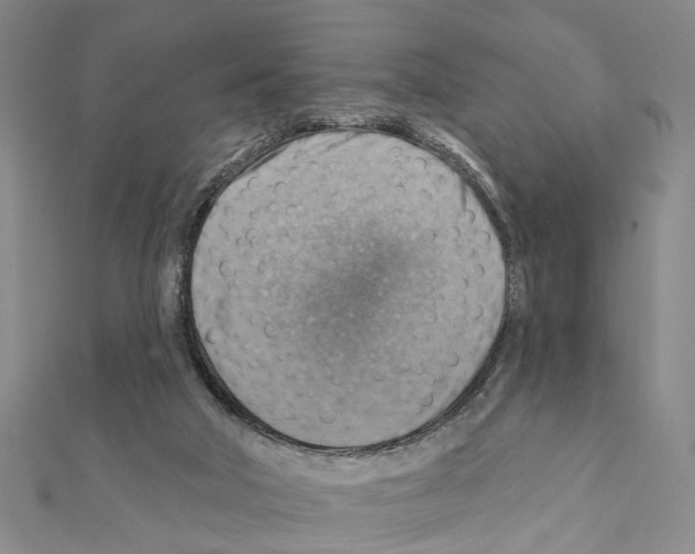 X0000111360018200908211306