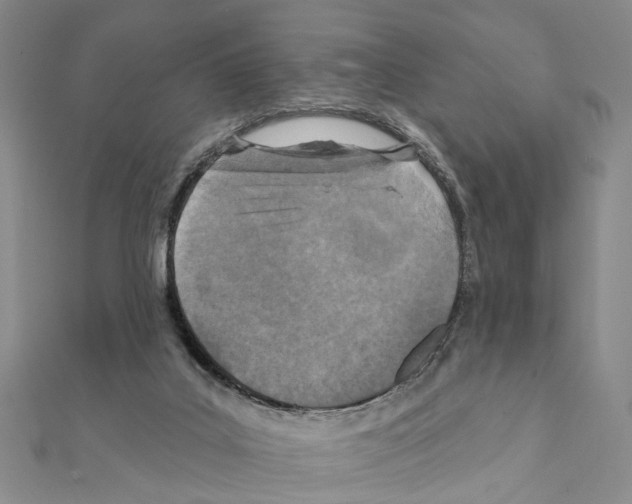X0000111360019200908211306