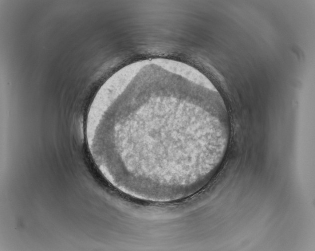 X0000111360020200908211306