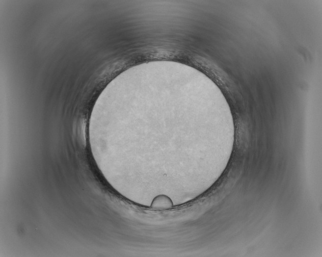 X0000111360022200908211306