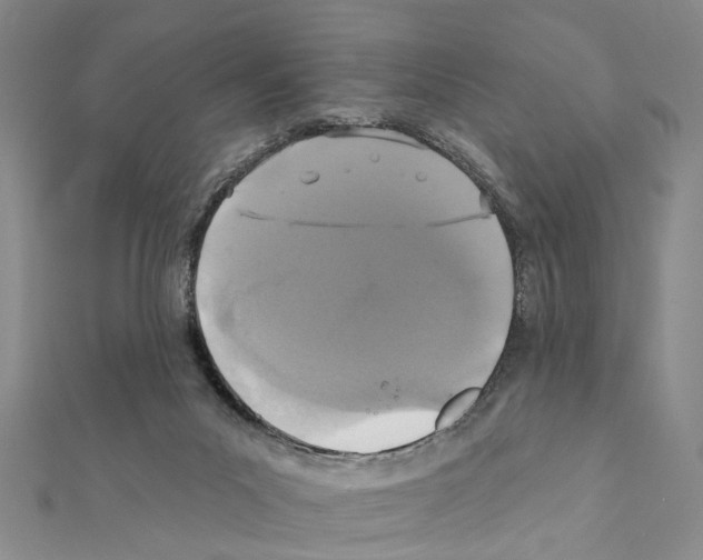 X0000111360023200908211306