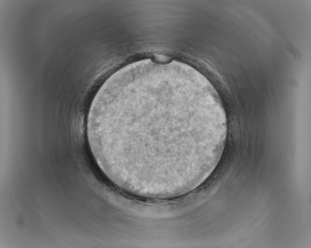 X0000111360024200908211306
