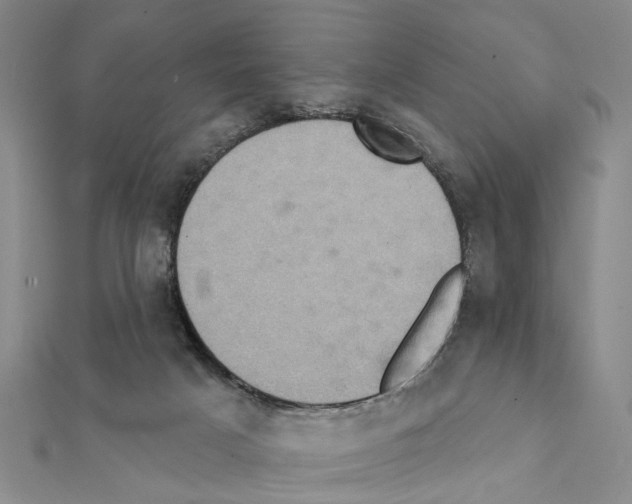 X0000111360025200908211306