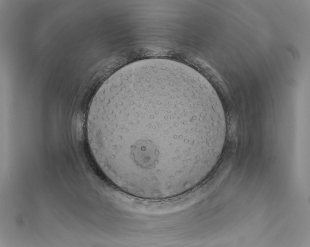 X0000111360026200908211306