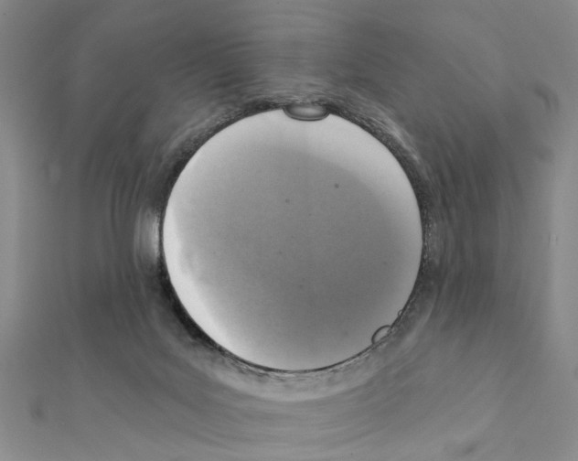 X0000111360027200908211306