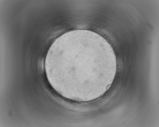 X0000111360028200908211306