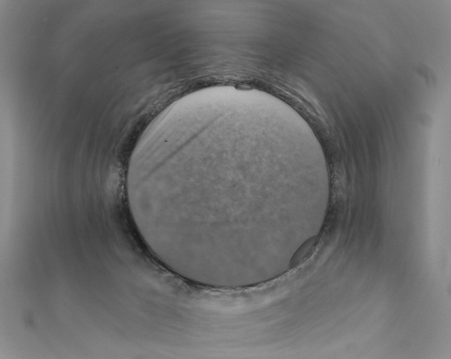 X0000111360029200908211306