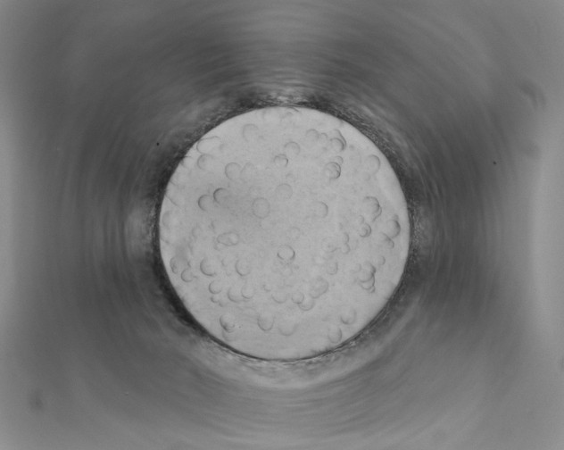 X0000111360030200908211306