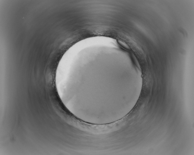 X0000111360031200908211306