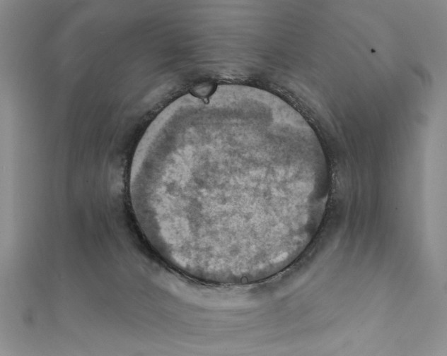X0000111360032200908211306