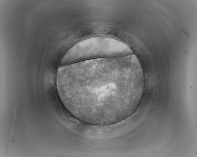 X0000111360033200908211306