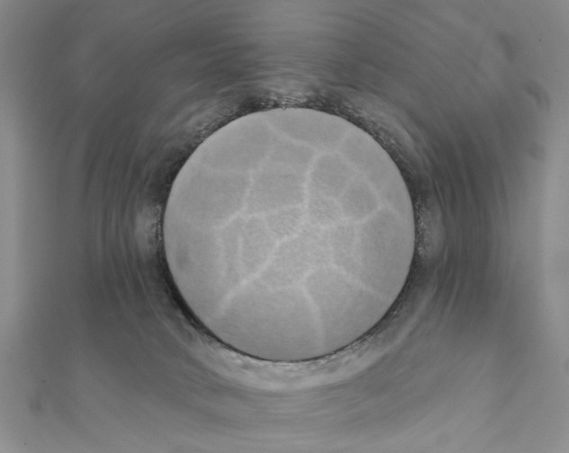 X0000111360034200908211306