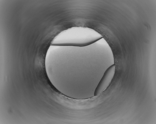 X0000111360035200908211306