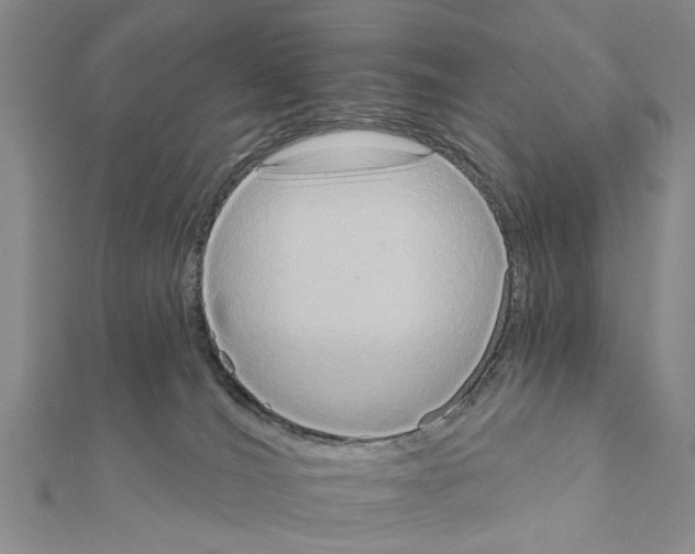 X0000111360036200908211306
