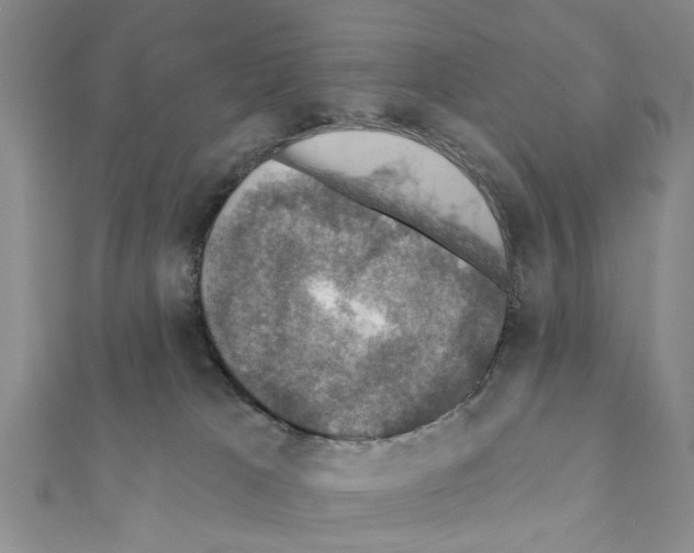 X0000111360037200908211306