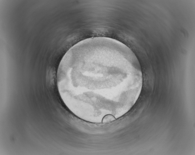 X0000111360038200908211306