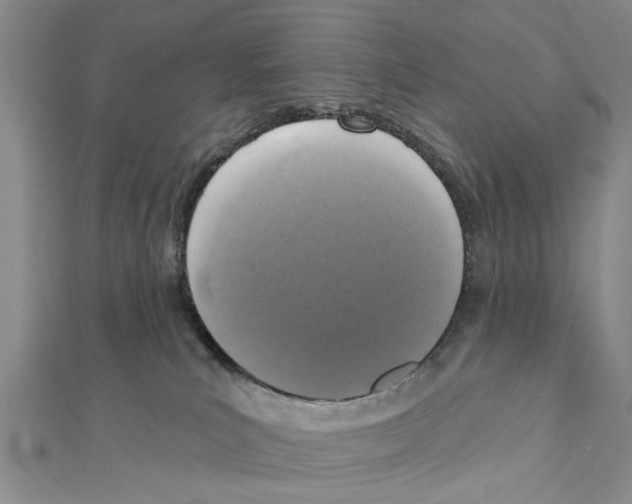 X0000111360039200908211306