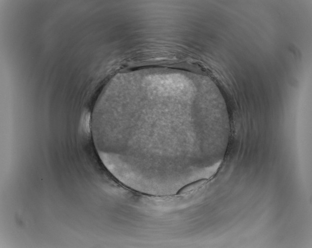 X0000111360041200908211306