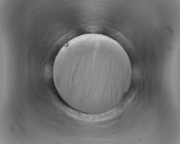 X0000111360043200908211306