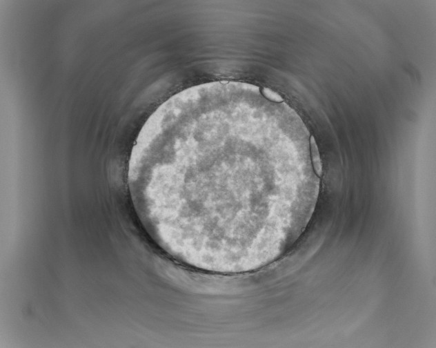 X0000111360044200908211306