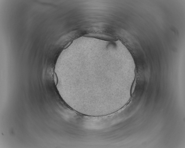 X0000111360045200908211306