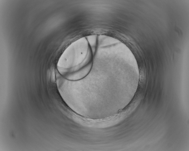 X0000111360046200908211306