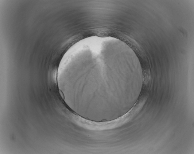 X0000111360047200908211306