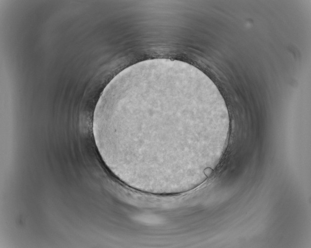 X0000111360048200908211306
